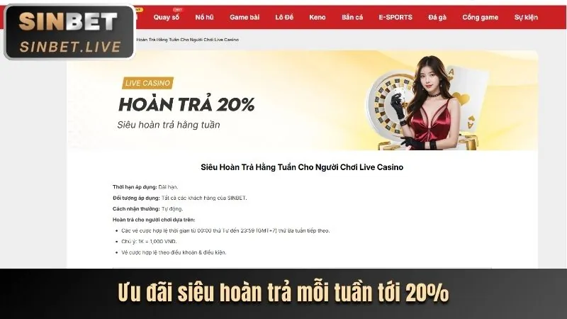 Thưởng hoàn trả hàng tuần cho thành viên VIP 3king code